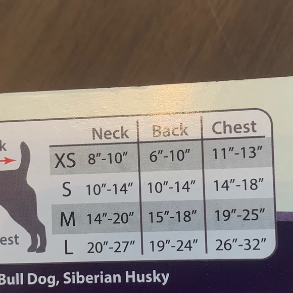 Dog Sweatshirt Hoodie Pink Sweater No Filter - Picture 9 of 10